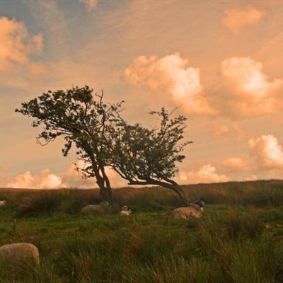 球探比分旧版大全app下载截图